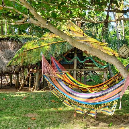 Derek'S Place Eco-Lodge Литтл-Корн-Айленд Экстерьер фото